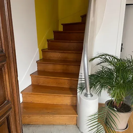 Guest In A Setting